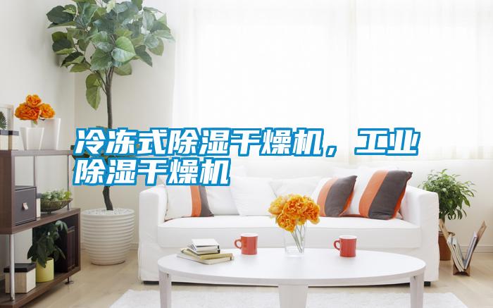 冷凍式除濕干燥機，工業除濕干燥機