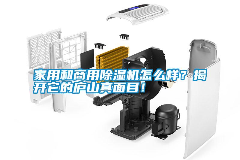 家用和商用除濕機怎么樣？揭開它的廬山真面目！