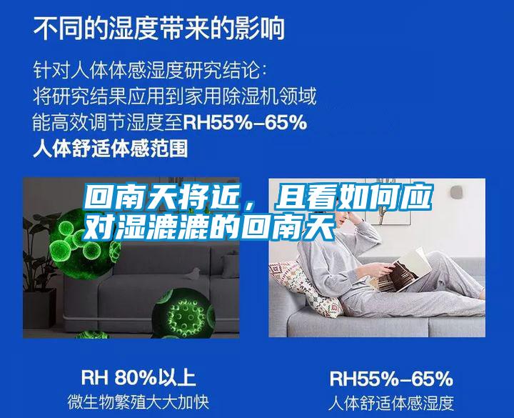 回南天將近，且看如何應對濕漉漉的回南天