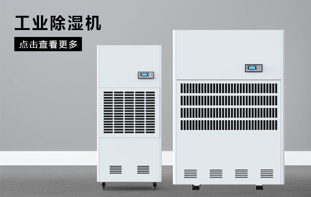梅雨季回南天快到了，該如何強力除濕，把晴天裝進家？