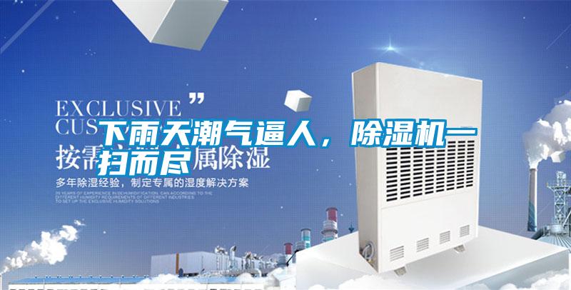 下雨天潮氣逼人，除濕機一掃而盡