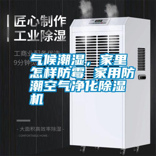 氣候潮濕，家里怎樣防霉 家用防潮空氣凈化除濕機