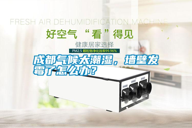 成都氣候太潮濕，墻壁發霉了怎么辦？