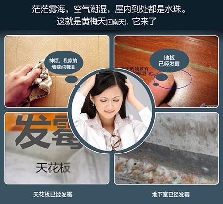 轉輪除濕機與一般除濕機相比有何不同？