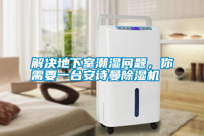 解決地下室潮濕問題，你需要一臺安詩曼除濕機