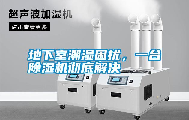 地下室潮濕困擾，一臺除濕機徹底解決