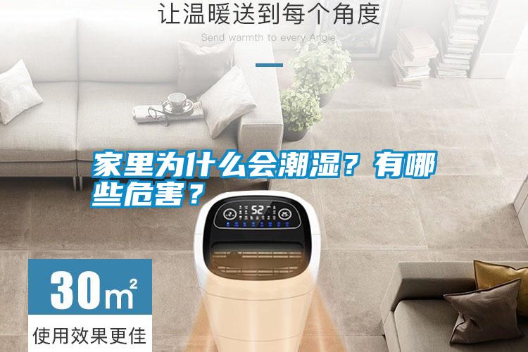 家里為什么會潮濕？有哪些危害？