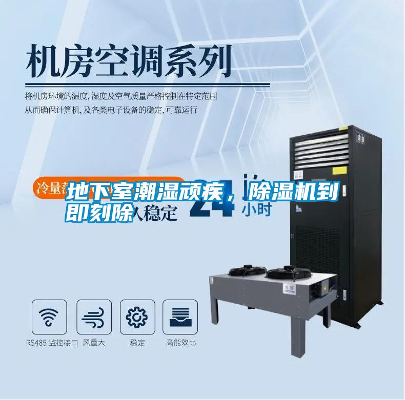 地下室潮濕頑疾，除濕機到即刻除