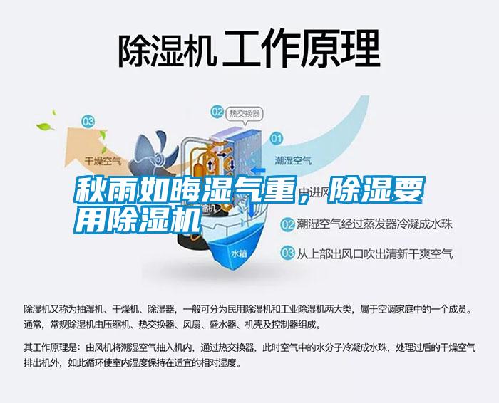 秋雨如晦濕氣重，除濕要用除濕機