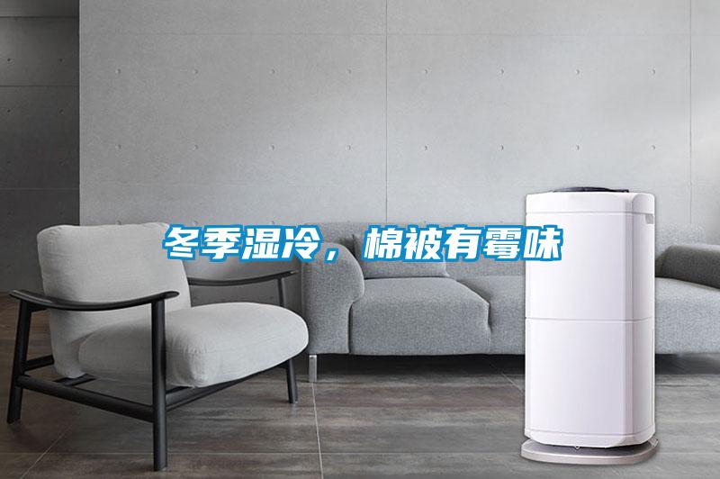 冬季濕冷，棉被有霉味