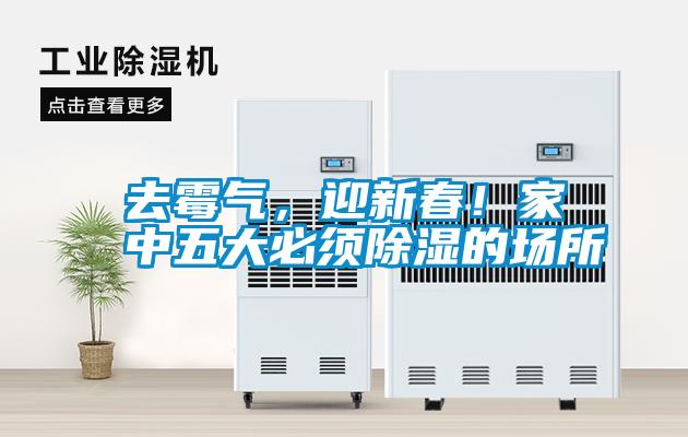 去霉氣，迎新春！家中五大必須除濕的場所