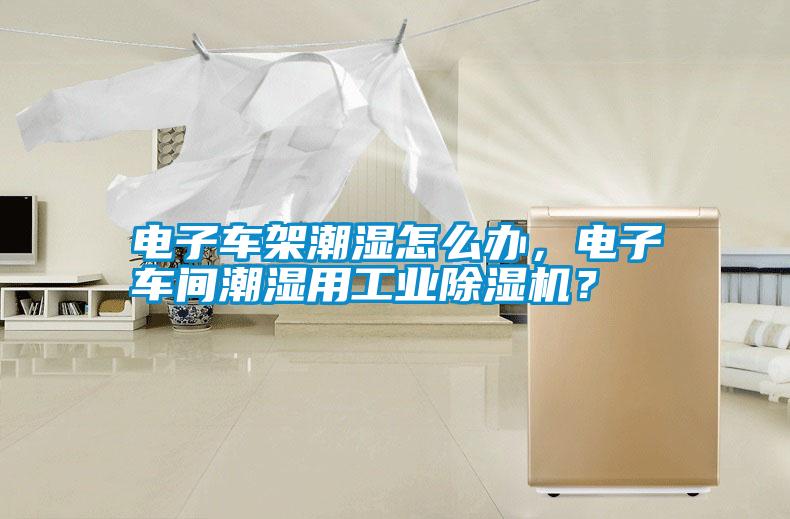 電子車架潮濕怎么辦，電子車間潮濕用工業除濕機？