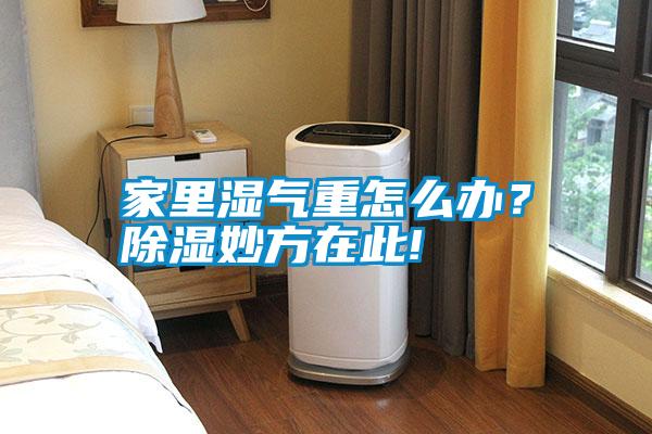 家里濕氣重怎么辦？除濕妙方在此!