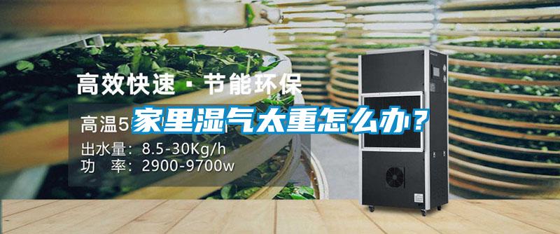 家里濕氣太重怎么辦？