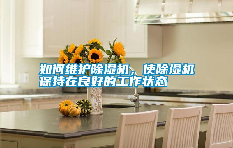 如何維護除濕機，使除濕機保持在良好的工作狀態