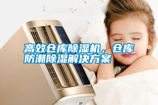 高效倉庫除濕機，倉庫防潮除濕解決方案