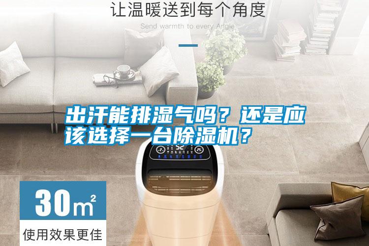 出汗能排濕氣嗎？還是應該選擇一臺除濕機？