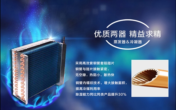 濕冷冬季，如何應對