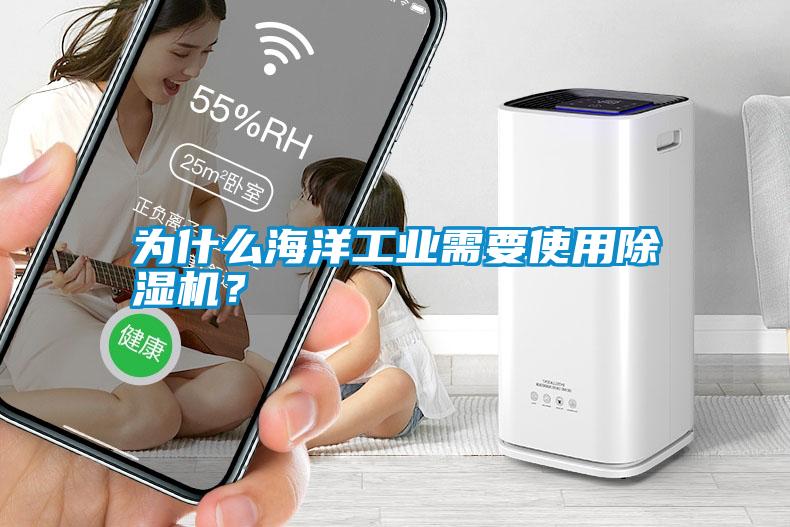 為什么海洋工業需要使用除濕機？