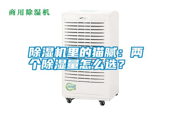 除濕機里的貓膩：兩個除濕量怎么選？