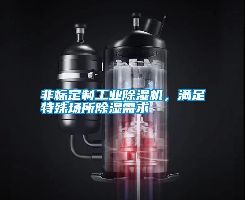 非標定制工業除濕機,滿足特殊場所除濕需求