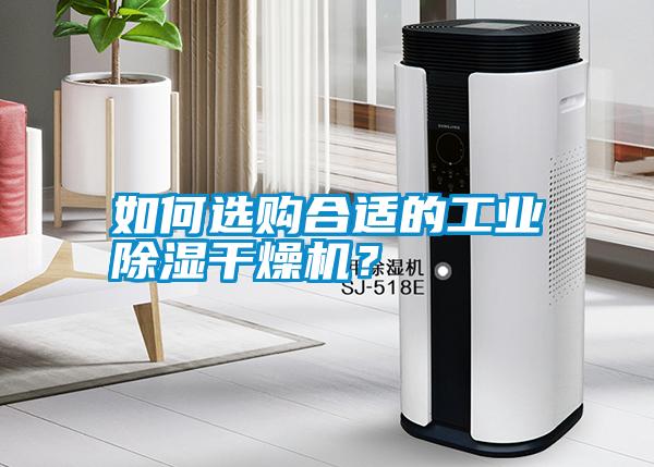 如何選購合適的工業除濕干燥機？