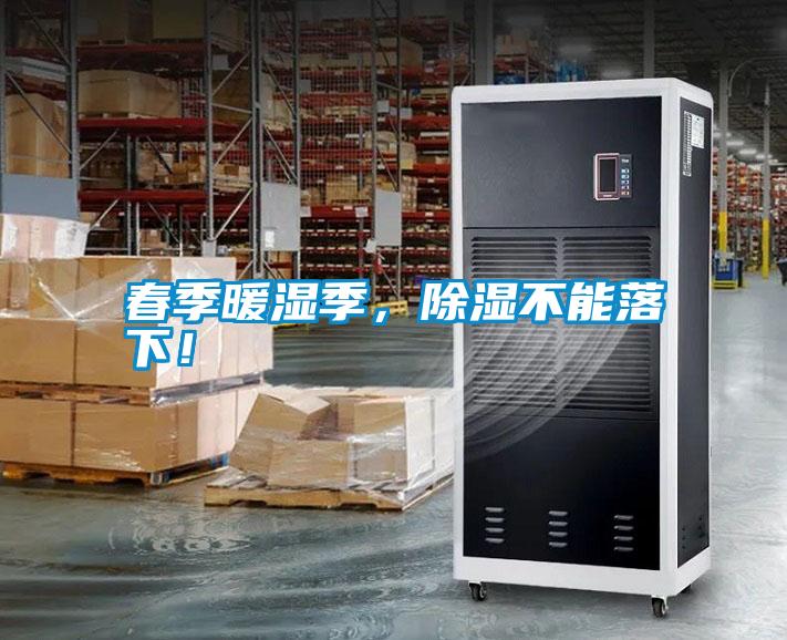 春季暖濕季，除濕不能落下！
