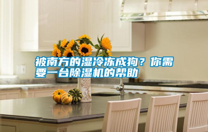 被南方的濕冷凍成狗？你需要一臺除濕機的幫助