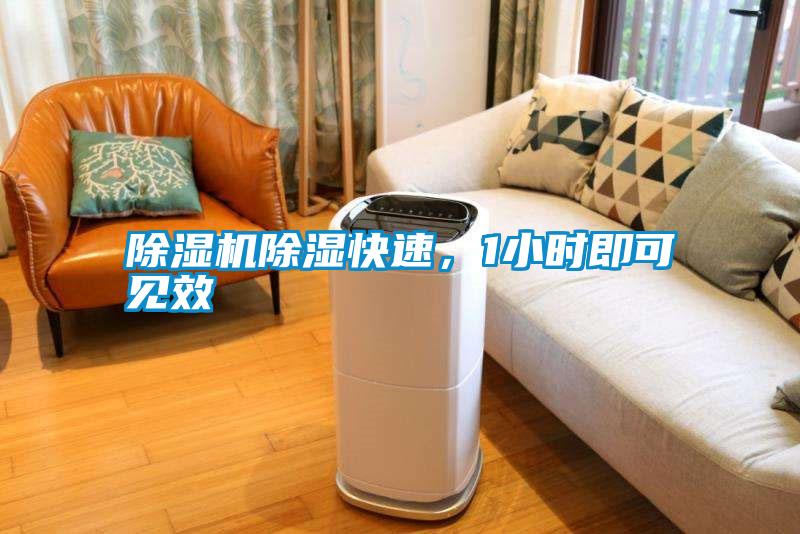 除濕機除濕快速，1小時即可見效
