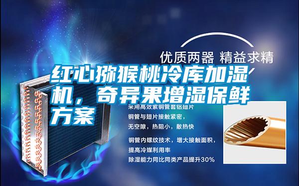 紅心獼猴桃冷庫加濕機，奇異果增濕保鮮方案
