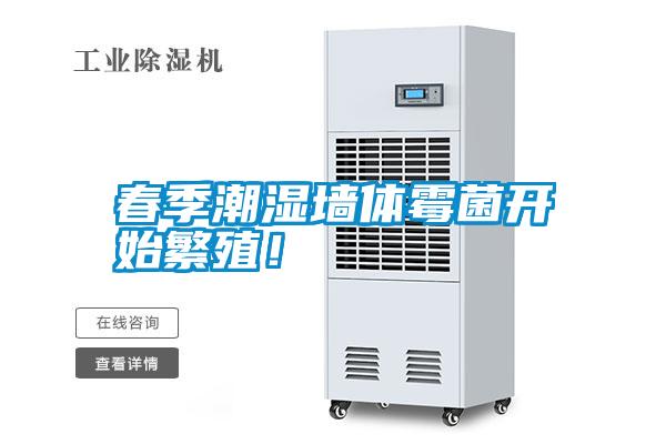 春季潮濕墻體霉菌開始繁殖！