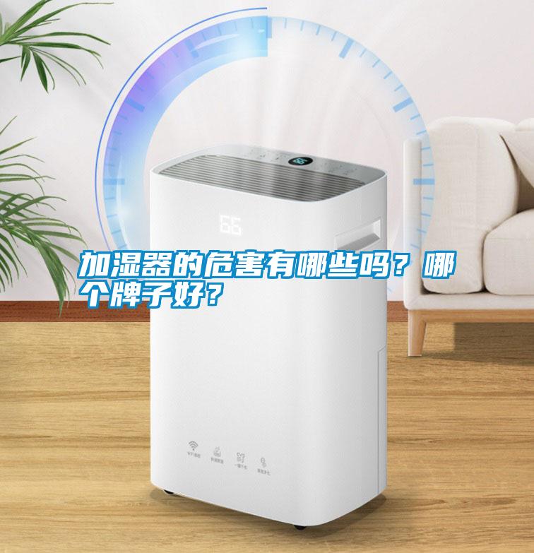 加濕器的危害有哪些嗎？哪個牌子好？