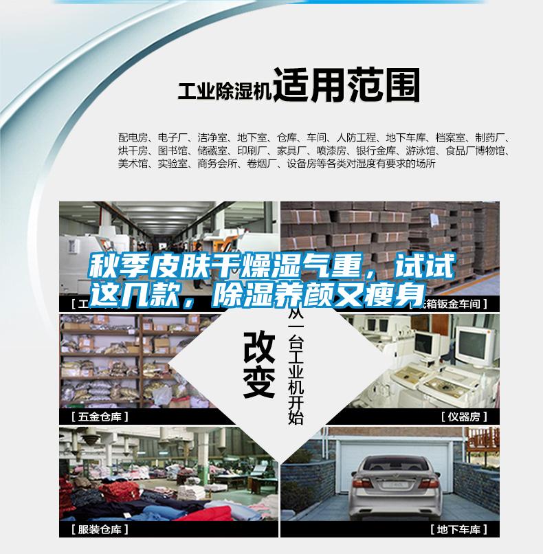 秋季皮膚干燥濕氣重，試試這幾款，除濕養顏又瘦身
