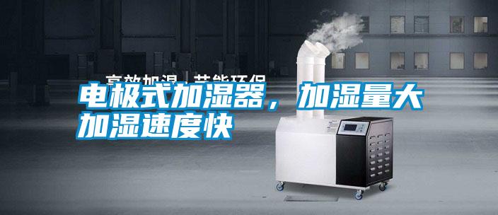 電極式加濕器，加濕量大加濕速度快