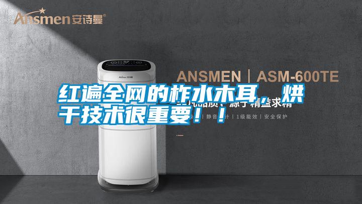 紅遍全網的柞水木耳，烘干技術很重要??！
