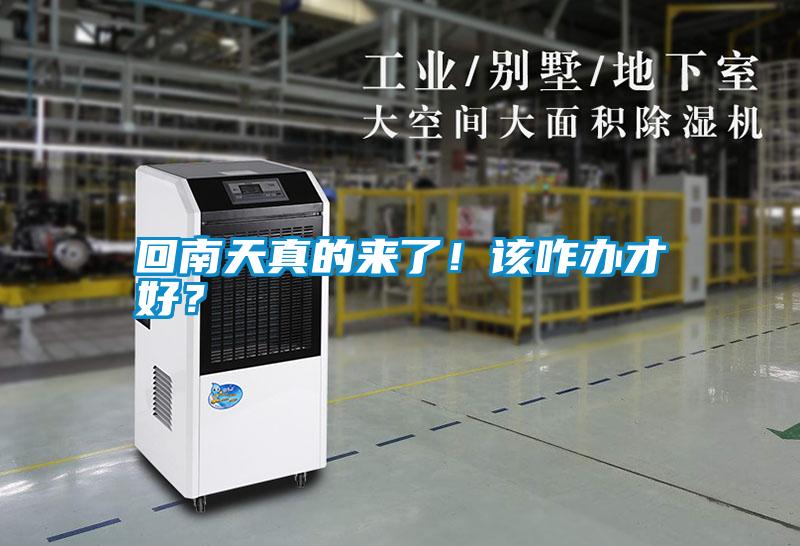 回南天真的來了！該咋辦才好？