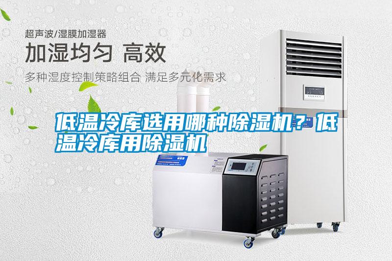低溫冷庫選用哪種除濕機？低溫冷庫用除濕機