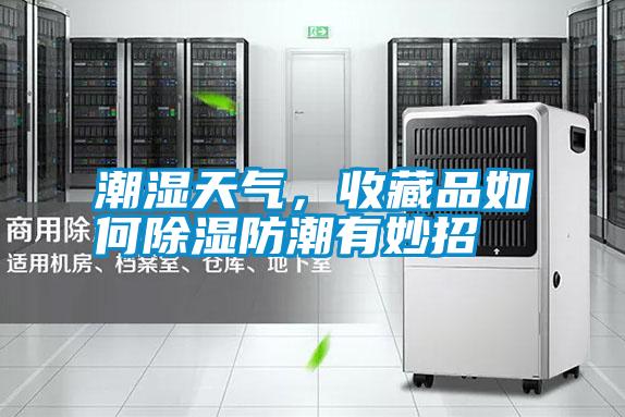 潮濕天氣，收藏品如何除濕防潮有妙招
