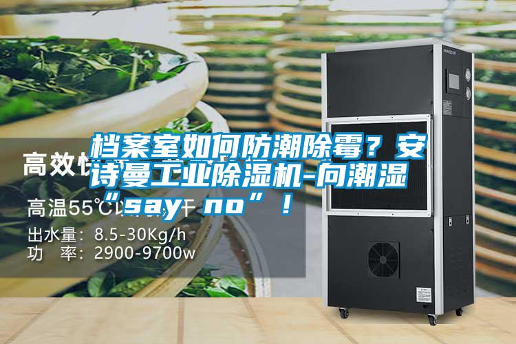 檔案室如何防潮除霉？安詩曼工業除濕機-向潮濕“say no”！