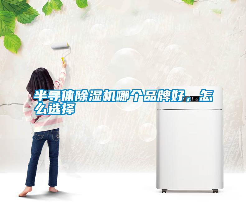 半導體除濕機哪個品牌好，怎么選擇