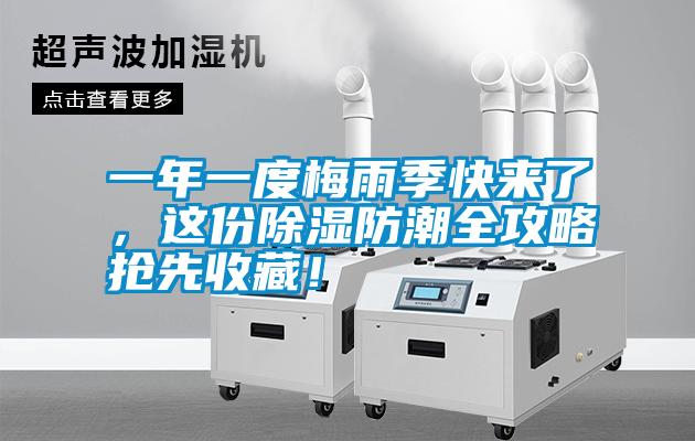一年一度梅雨季快來了，這份除濕防潮全攻略搶先收藏！