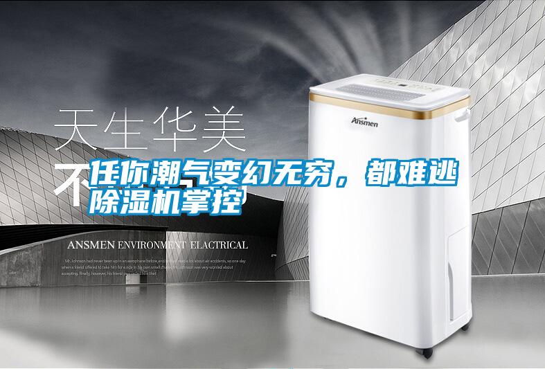 任你潮氣變幻無窮，都難逃除濕機掌控