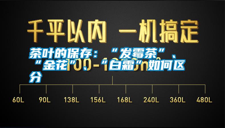 茶葉的保存：“發霉茶”、“金花”、“白霜”如何區分