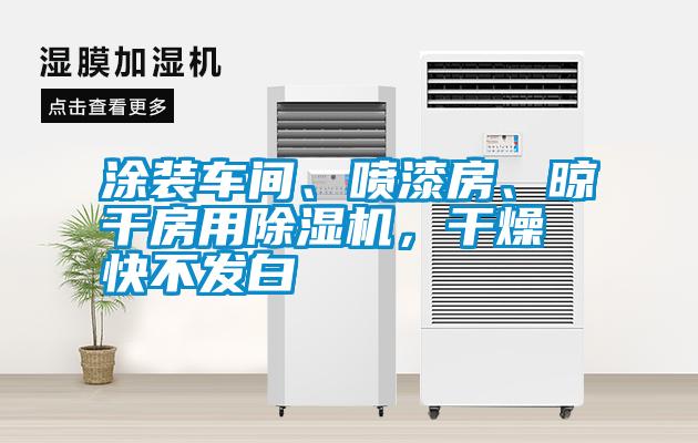 涂裝車間、噴漆房、晾干房用除濕機，干燥快不發白