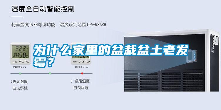 為什么家里的盆栽盆土老發霉？