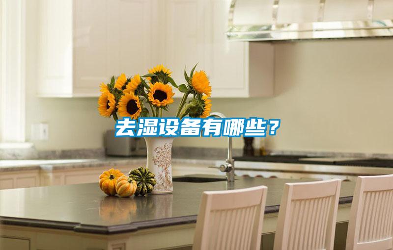 去濕設備有哪些？