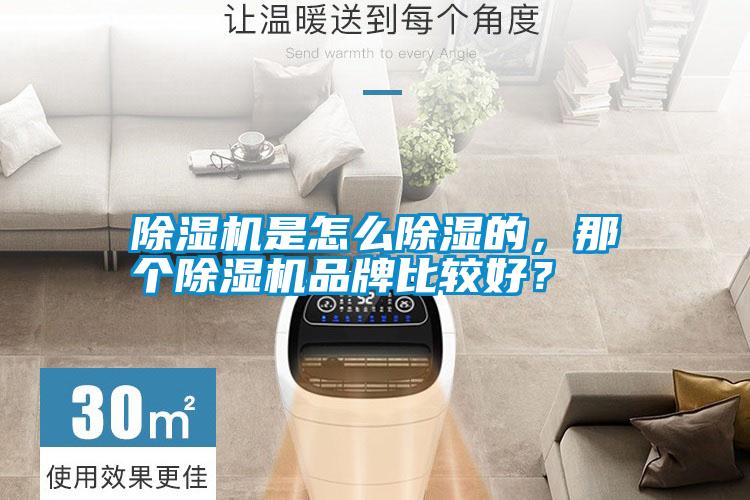 除濕機是怎么除濕的，那個除濕機品牌比較好？