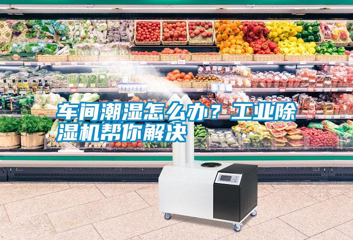 車間潮濕怎么辦？工業除濕機幫你解決