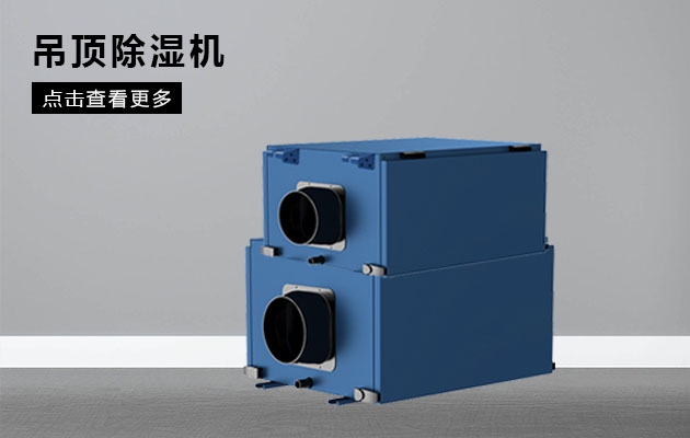 脾虛，濕氣重如何調理？