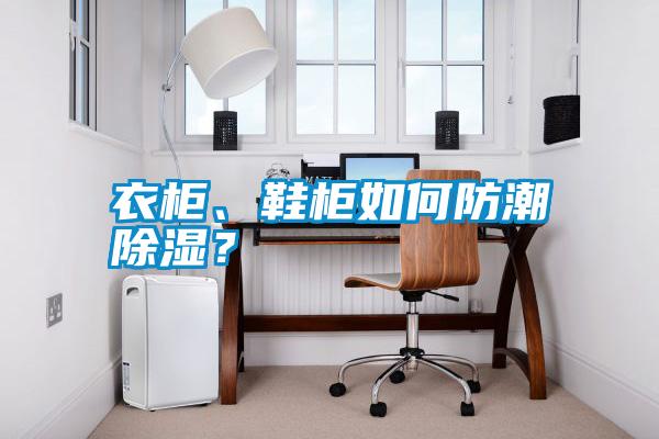 衣柜、鞋柜如何防潮除濕？